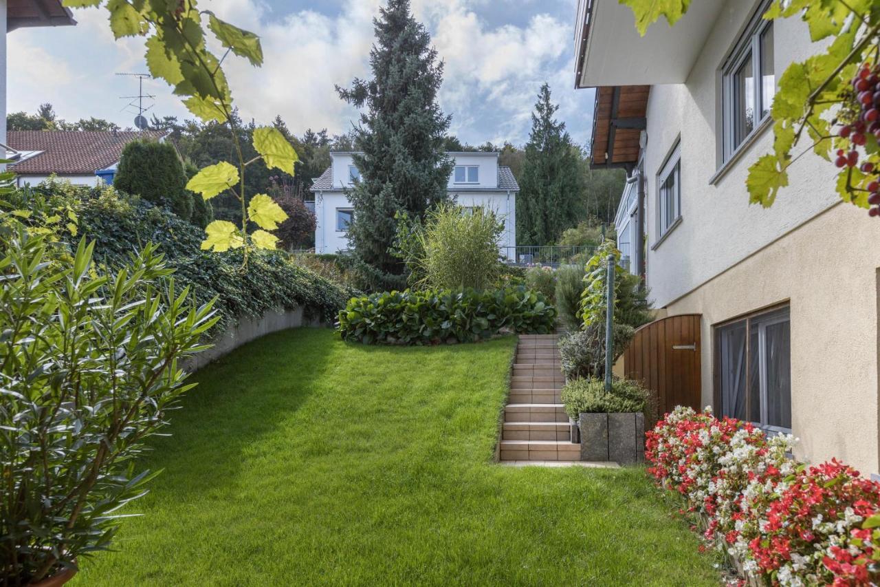 מוס Ferienwohnung Grauer מראה חיצוני תמונה