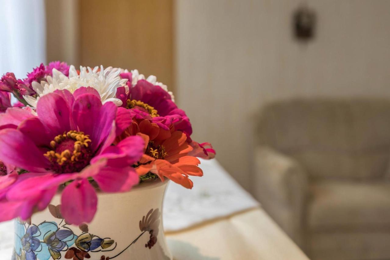 מוס Ferienwohnung Grauer מראה חיצוני תמונה
